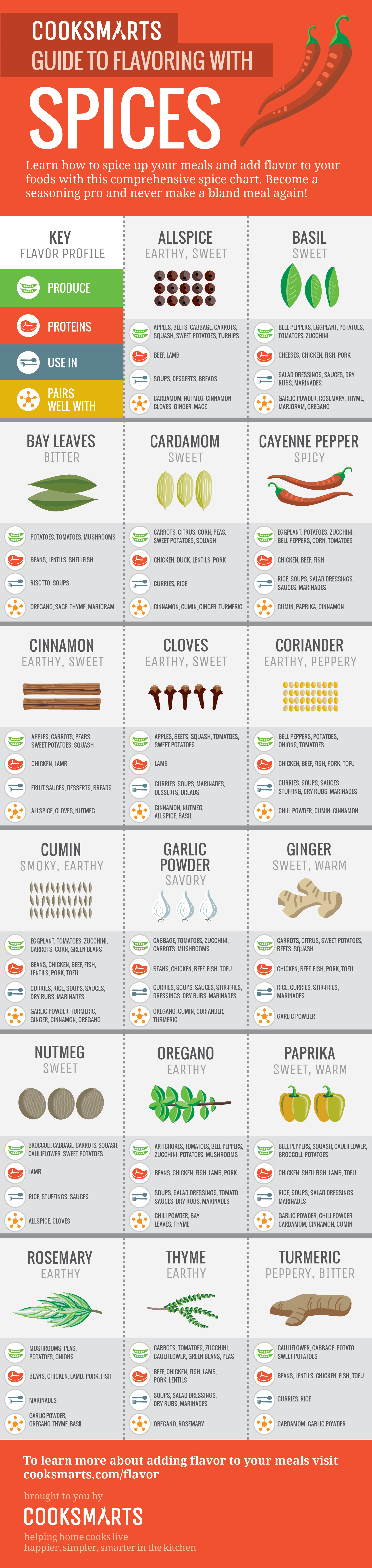 The Ultimate Infographic Guide To Spices Cook Smarts